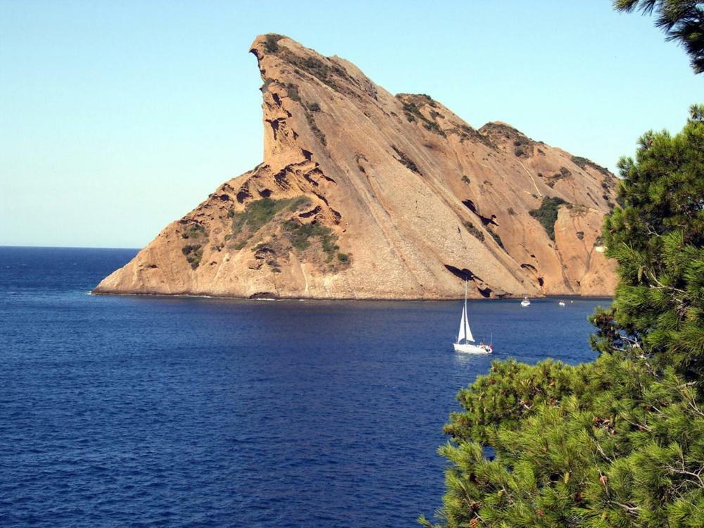 Appart. 4 Pers A 6 Kms De Cassis Avec Acces Piscine Roquefort-la-Bédoule Exteriör bild